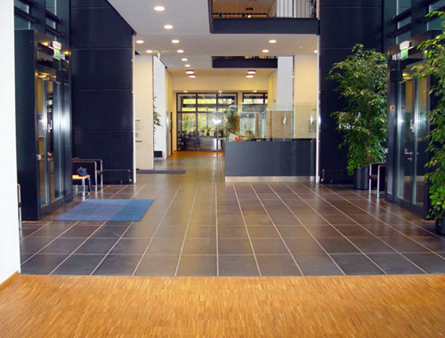 Max Planck Institute